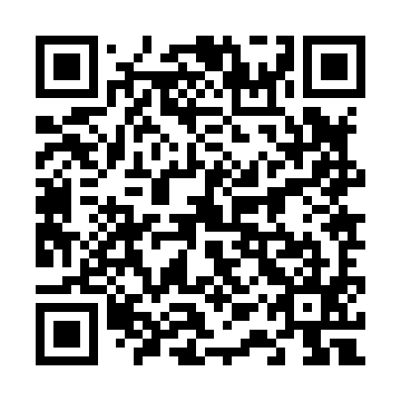 QR code for plate 61Z 895