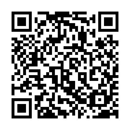 QR code for plate 62C 295