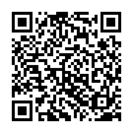 QR code for 62M333
