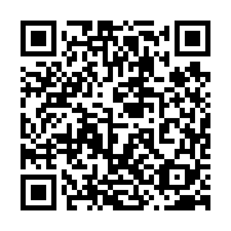 QR code for plate 63A 669