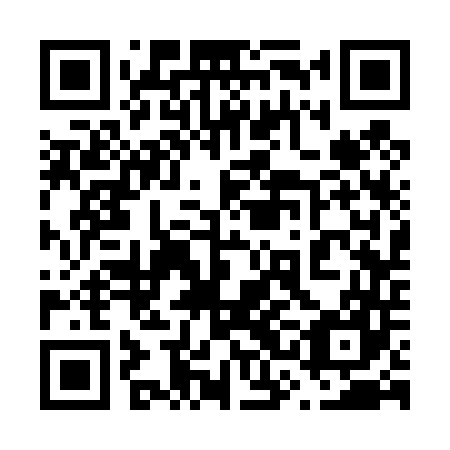 QR code for plate 63C 447