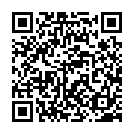 QR code for 63D333