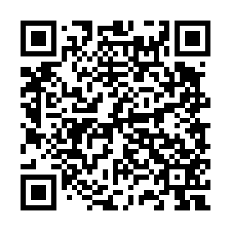 QR code for plate 63D 453