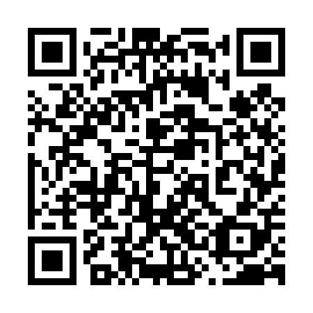 QR code for plate 63G 408