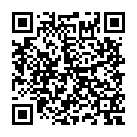 QR code for plate 63H 550