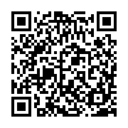 QR code for plate 63J 394
