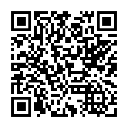 QR code for plate 63J 695