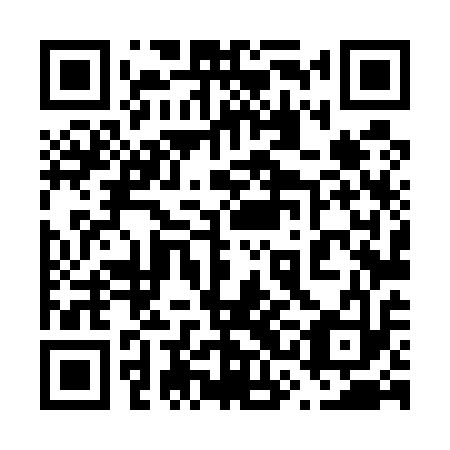 QR code for plate 63L 513