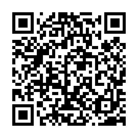 QR code for 63N 493