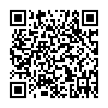 QR code for 63N 993