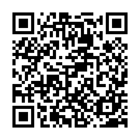 QR code for plate 63N 007