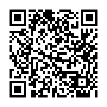 QR code for 63P 042