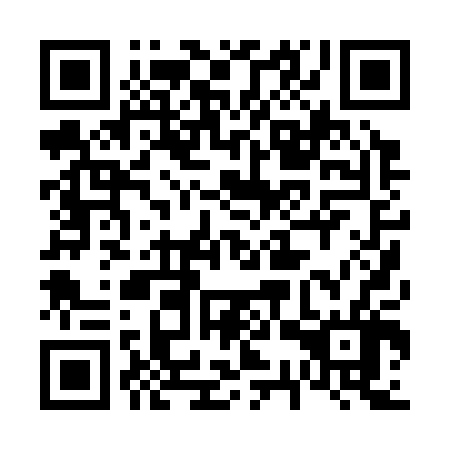 QR code for 63P 306