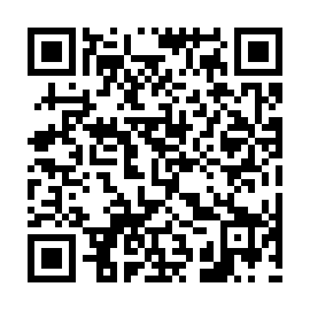 QR code for 63P 349