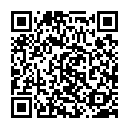 QR code for 63P 729