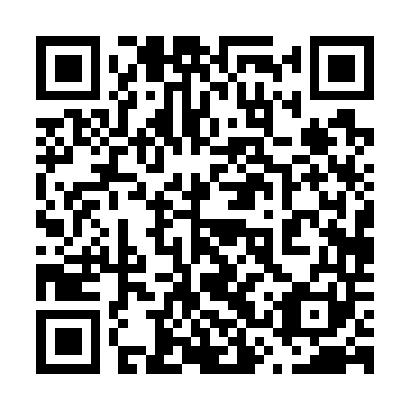 QR code for 63P 741