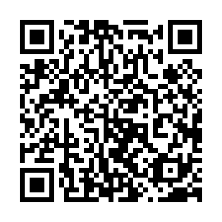 QR code for 63P031