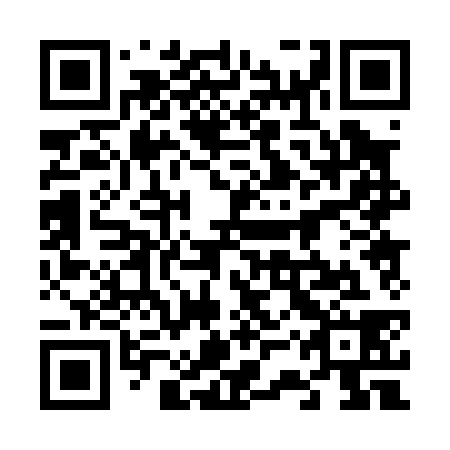 QR code for 63P038