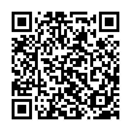 QR code for plate 63P 810