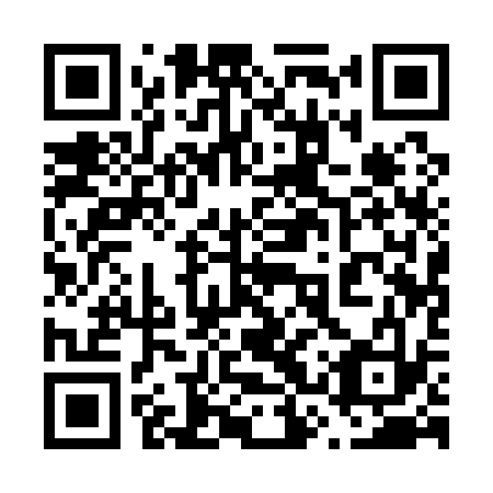 QR code for 63Q133