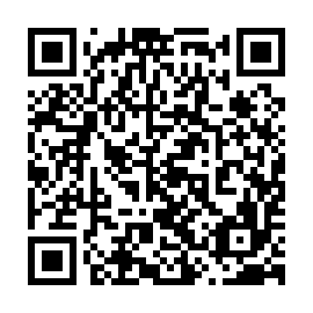 QR code for plate 63Q 196