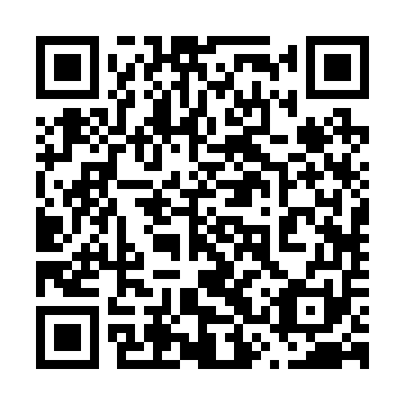 QR code for plate 63R 251