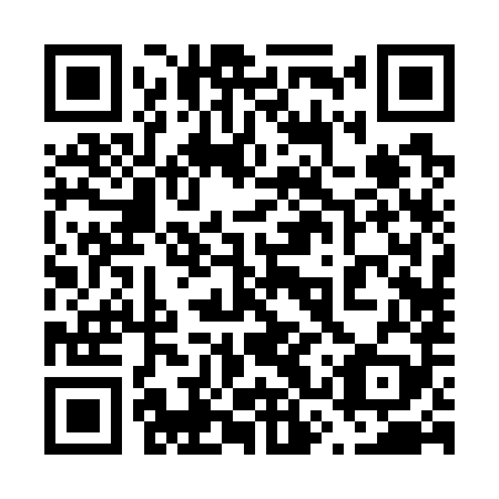 QR code for plate 63R 789