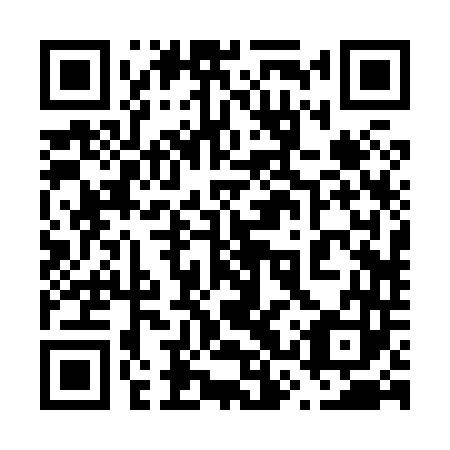 QR code for plate 63R 843