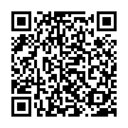 QR code for plate 63S 869