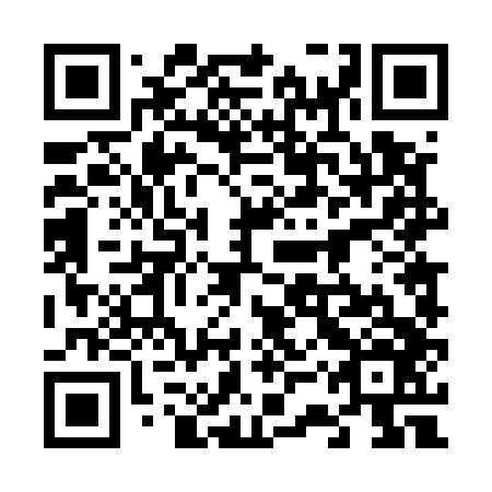 QR code for plate 63T 546