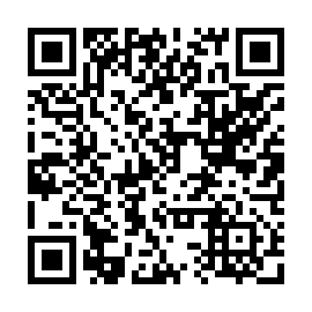 QR code for plate 63T 852