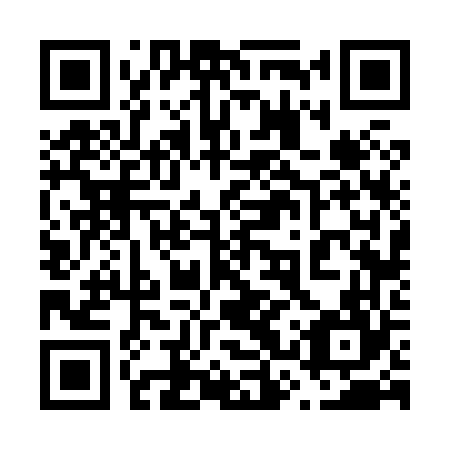 QR code for plate 63V 864