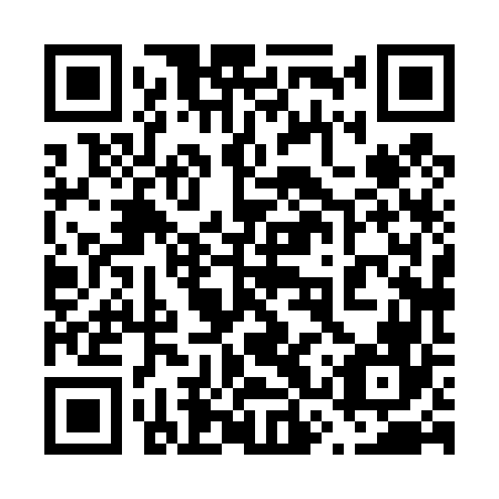 QR code for 63X 466