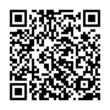QR code for plate 63Y 969