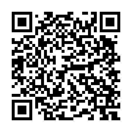 QR code for plate 63Z 443