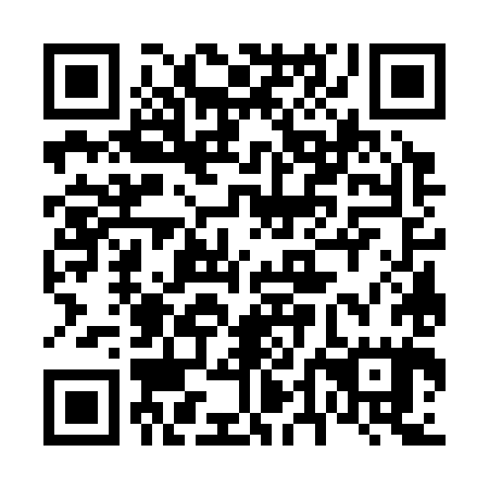 QR code for 64G 385