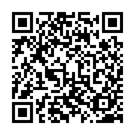 QR code for plate 64S 300