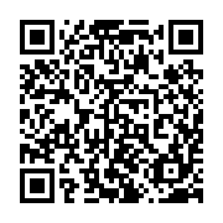 QR code for plate 65A 294