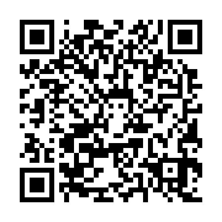 QR code for 65E333