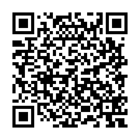 QR code for plate 65H 119