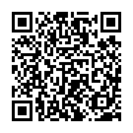 QR code for plate 65H 690
