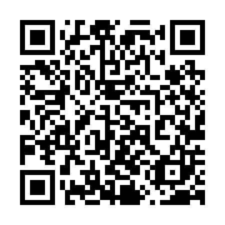 QR code for plate 65L 203