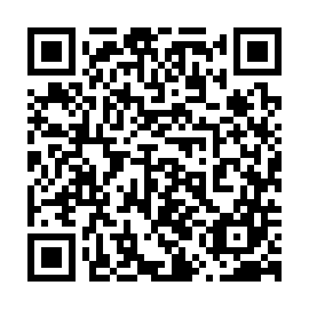 QR code for plate 65M 347