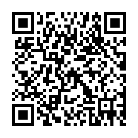 QR code for 65P006