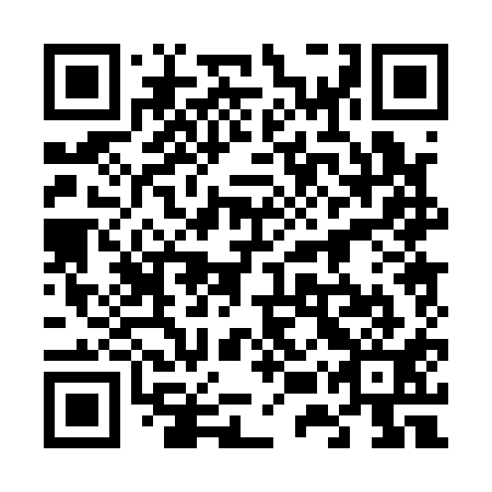 QR code for plate 65P 111