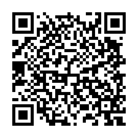 QR code for plate 65P 496