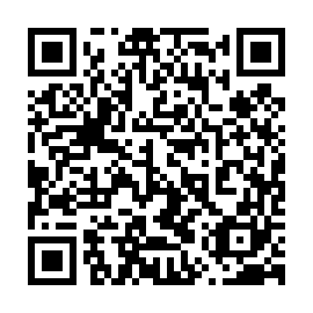 QR code for 65Q460