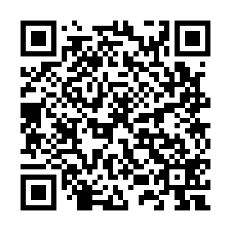 QR code for plate 65S 119