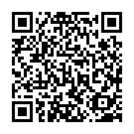 QR code for 65X 338
