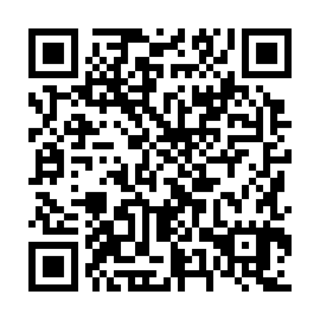 QR code for 65X 385